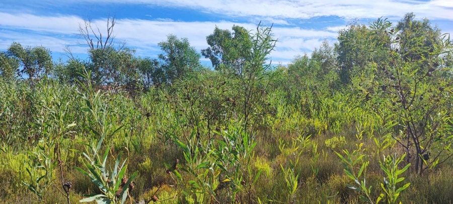 0 Bedroom Property for Sale in Franskraal Western Cape